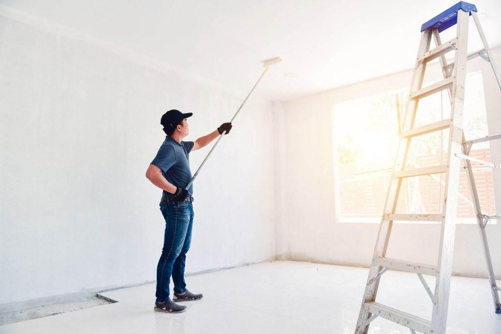 Professional House Painters